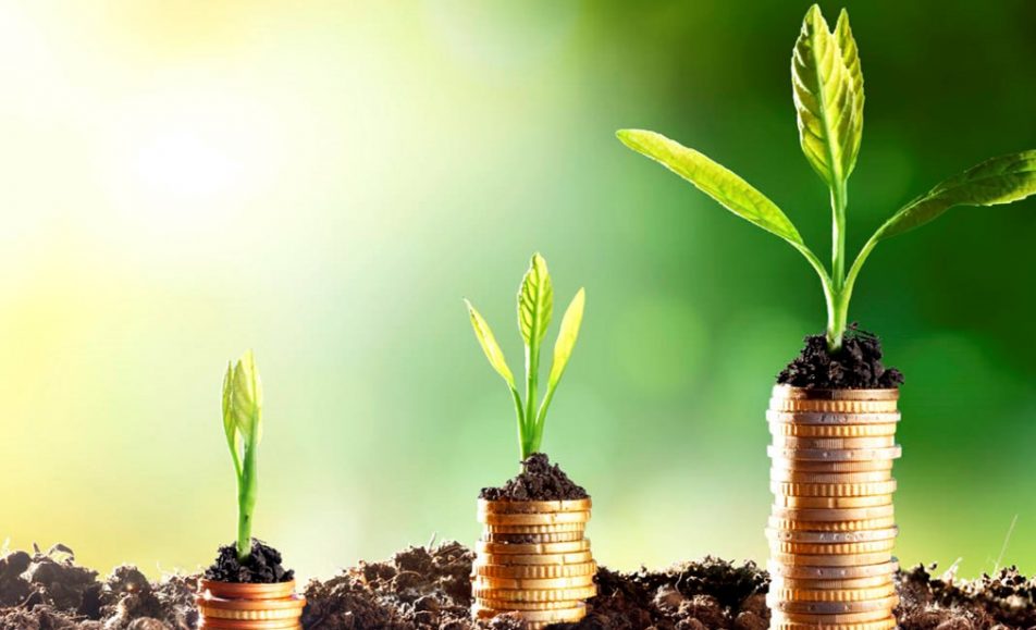 Webinar: The Basics of Investing