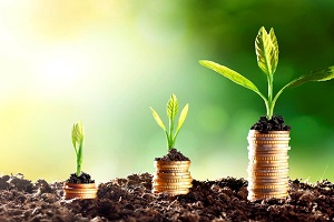 Webinar: The Basics of Investing