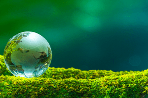 Seminar: From Investments to Impact – The Enduring Value of Low Carbon Investment in Singapore