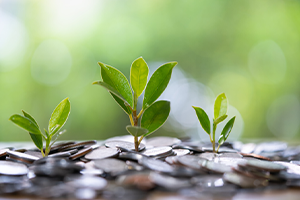 Introduction to Sustainable Investing – Discover the Future of Finance