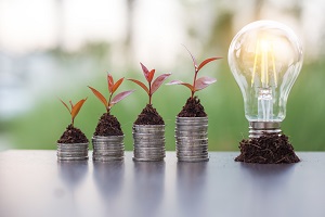 Basics of Investing