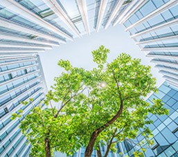 Introduction to Sustainable Investing – Discover the Future of Finance